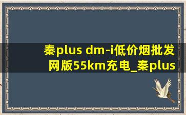 秦plus dm-i(低价烟批发网)版55km充电_秦plus dm-i(低价烟批发网)版55km